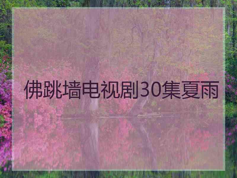 佛跳墙电视剧30集夏雨