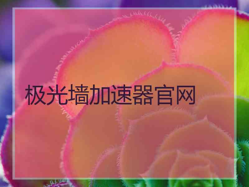 极光墙加速器官网