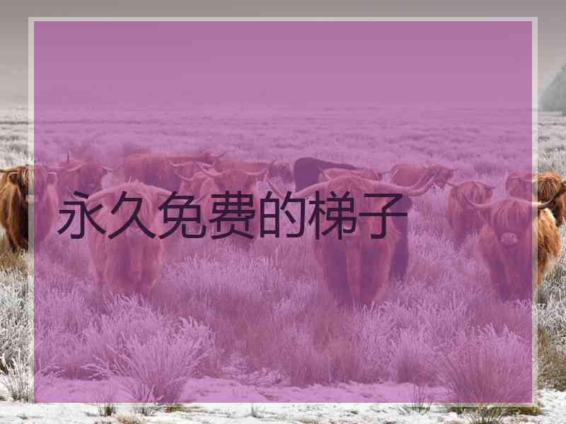 永久免费的梯子
