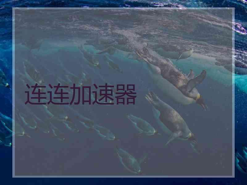 连连加速器