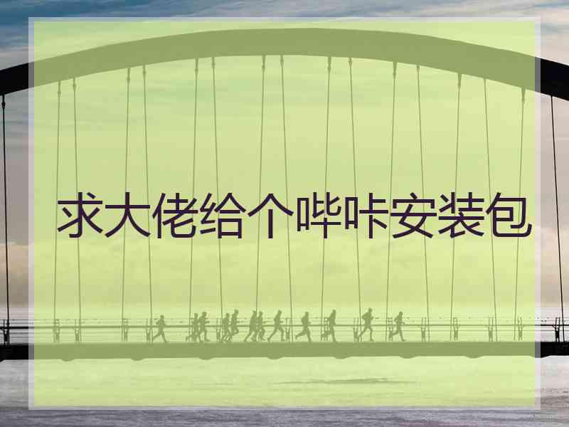 求大佬给个哔咔安装包