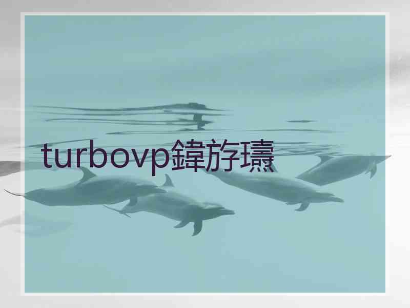 turbovp鍏斿瓙