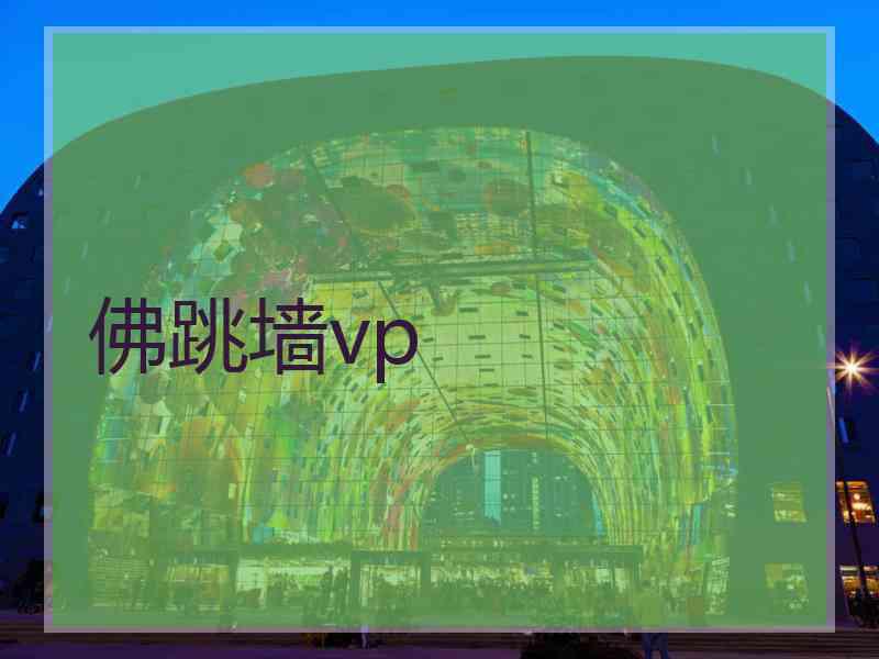 佛跳墙vp