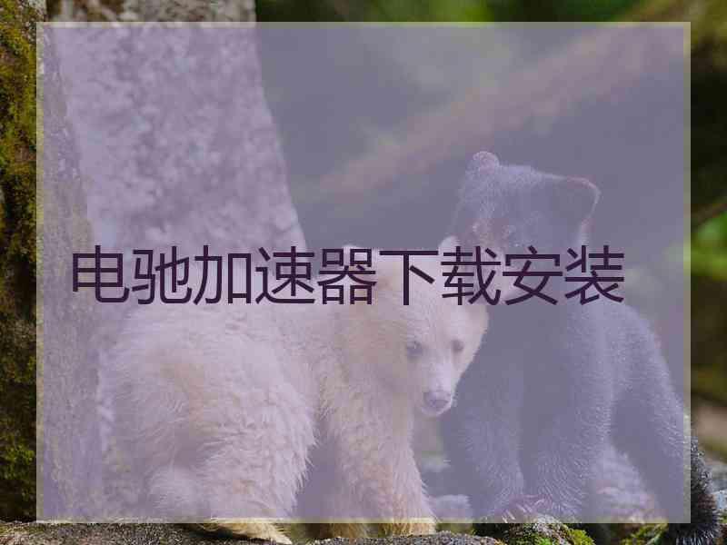 电驰加速器下载安装