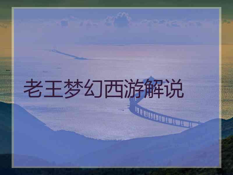 老王梦幻西游解说