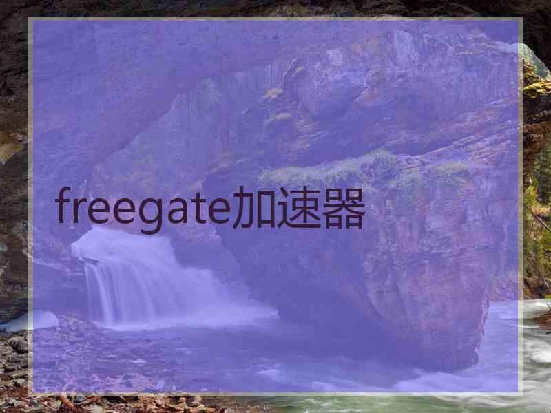 freegate加速器