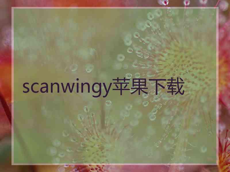 scanwingy苹果下载