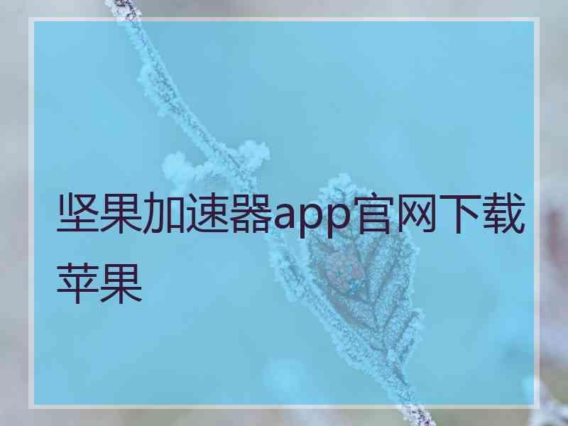 坚果加速器app官网下载苹果