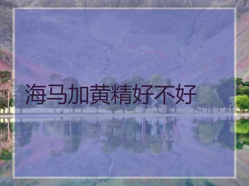 海马加黄精好不好