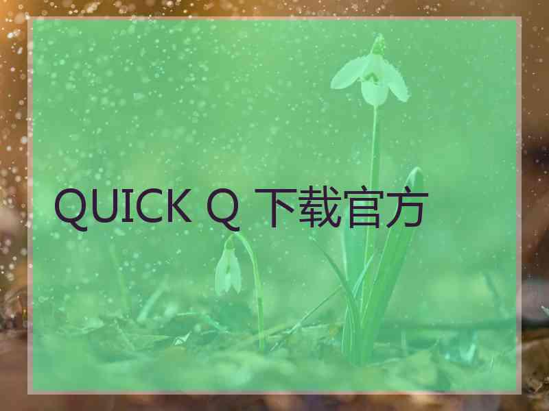 QUICK Q 下载官方