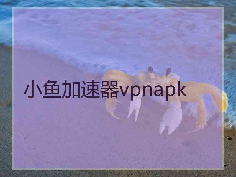 小鱼加速器vpnapk