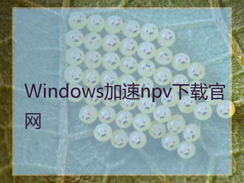 Windows加速npv下载官网