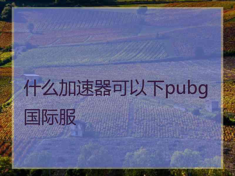 什么加速器可以下pubg国际服