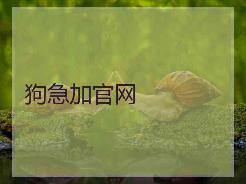狗急加官网