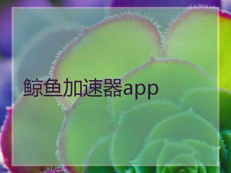 鲸鱼加速器app