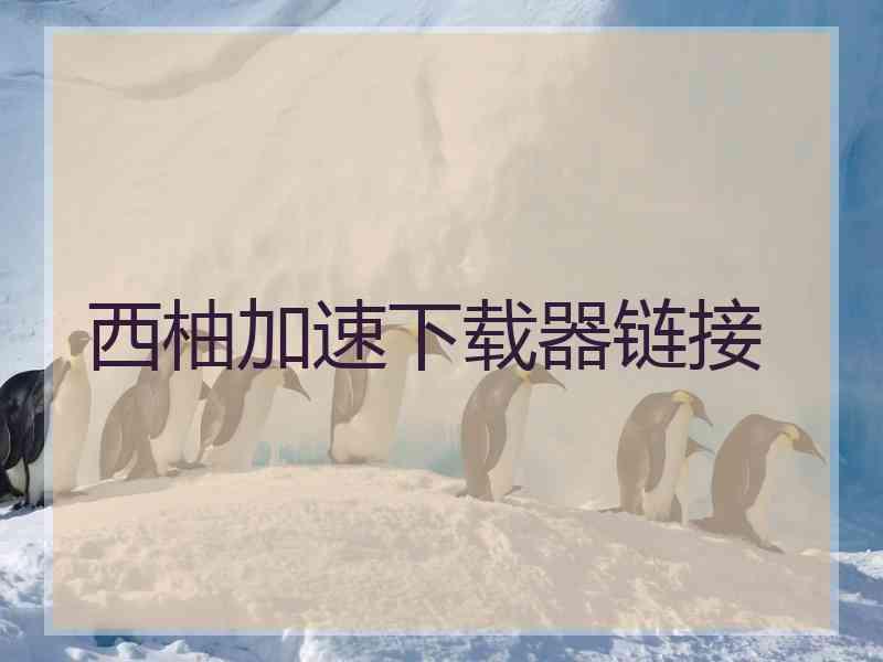 西柚加速下载器链接