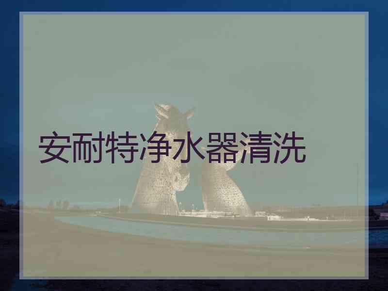 安耐特净水器清洗