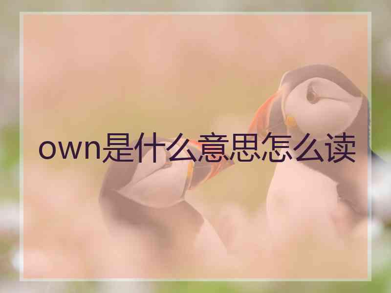own是什么意思怎么读