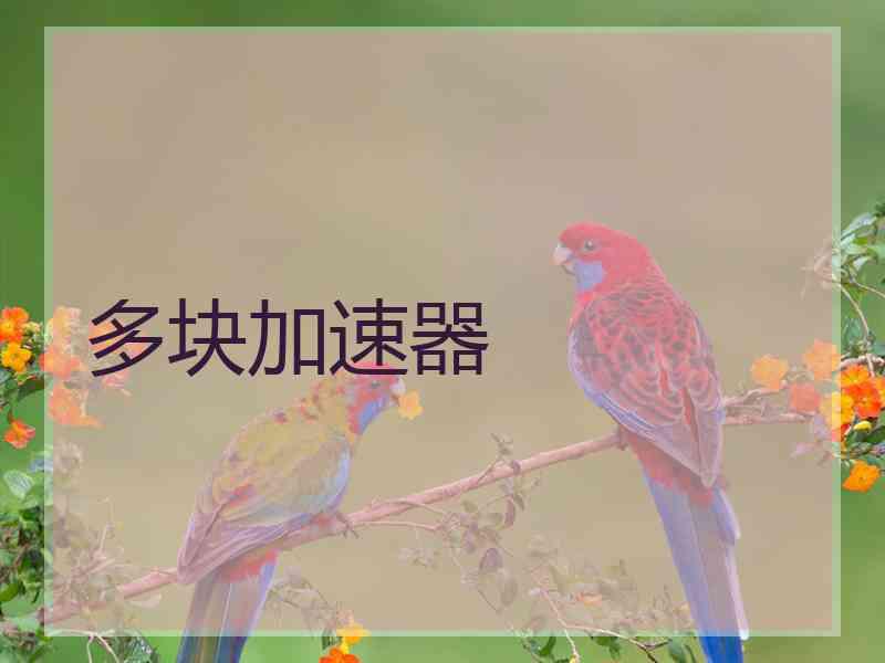 多块加速器