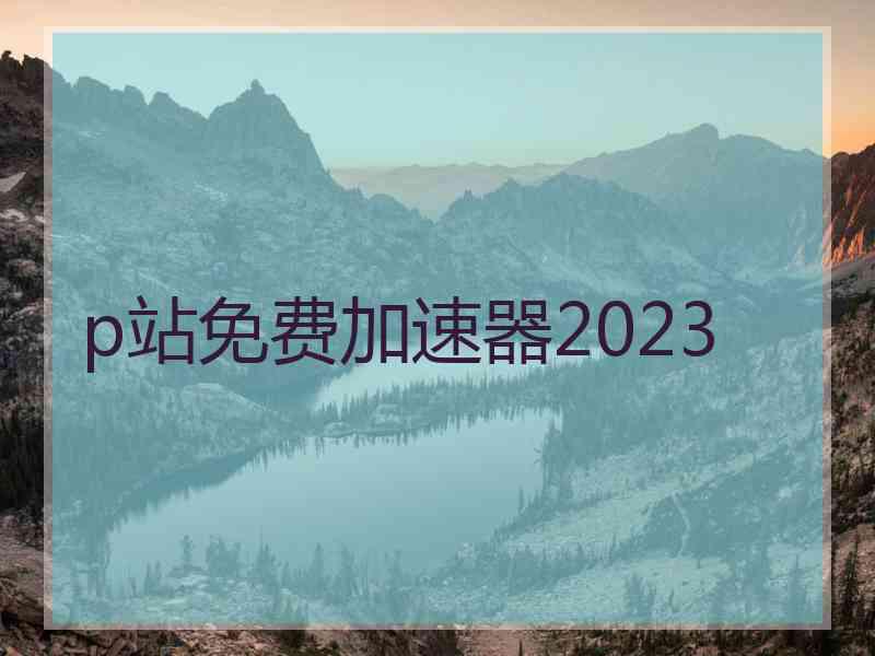 p站免费加速器2023