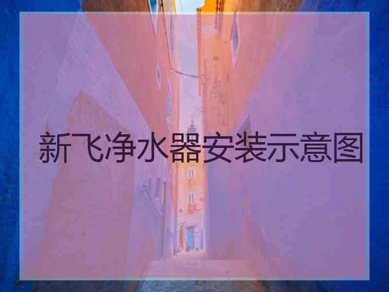 新飞净水器安装示意图