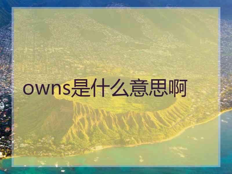 owns是什么意思啊