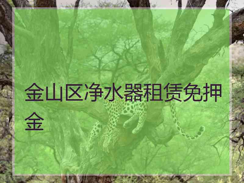 金山区净水器租赁免押金