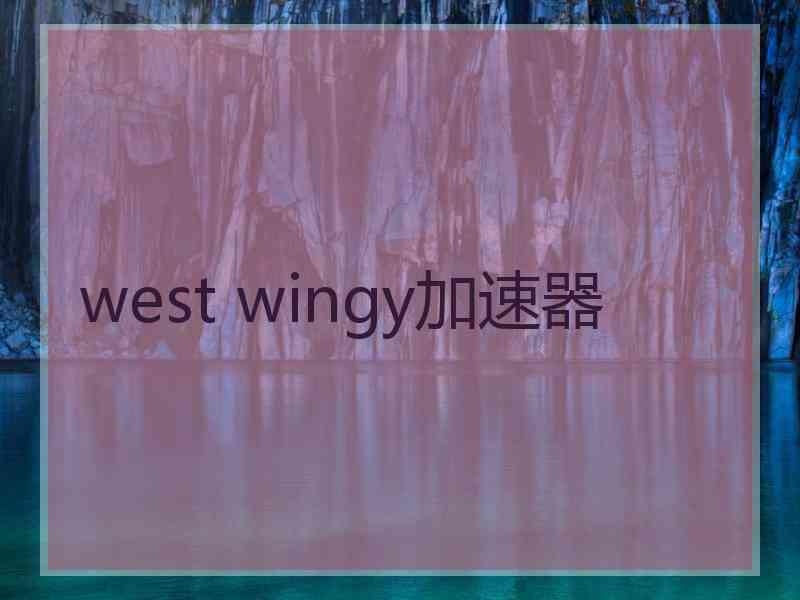 west wingy加速器