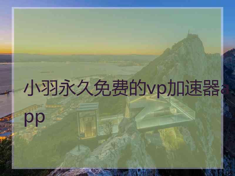 小羽永久免费的vp加速器app