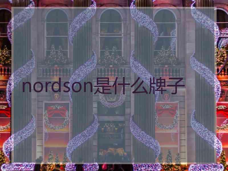 nordson是什么牌子