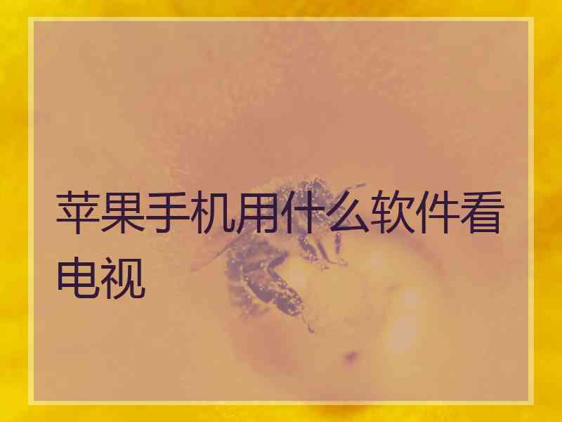 苹果手机用什么软件看电视