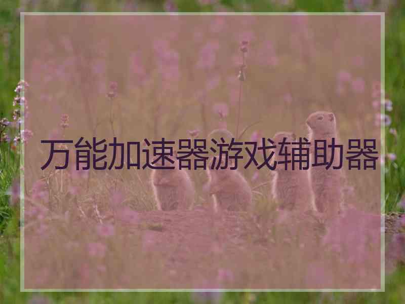 万能加速器游戏辅助器