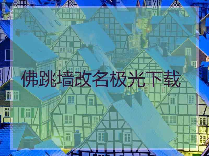 佛跳墙改名极光下载