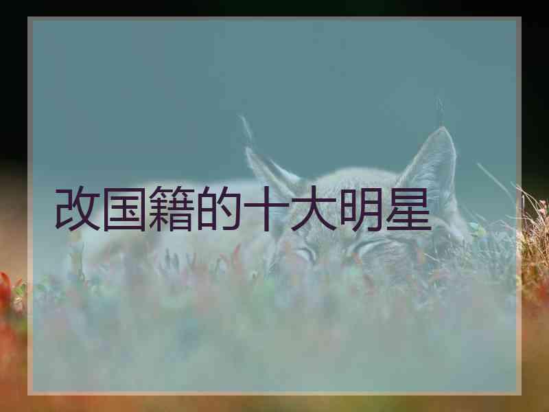 改国籍的十大明星