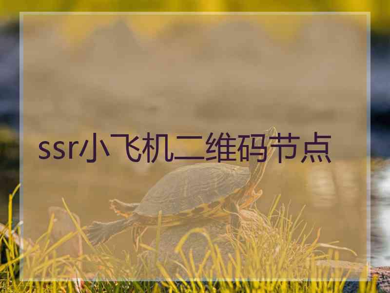 ssr小飞机二维码节点