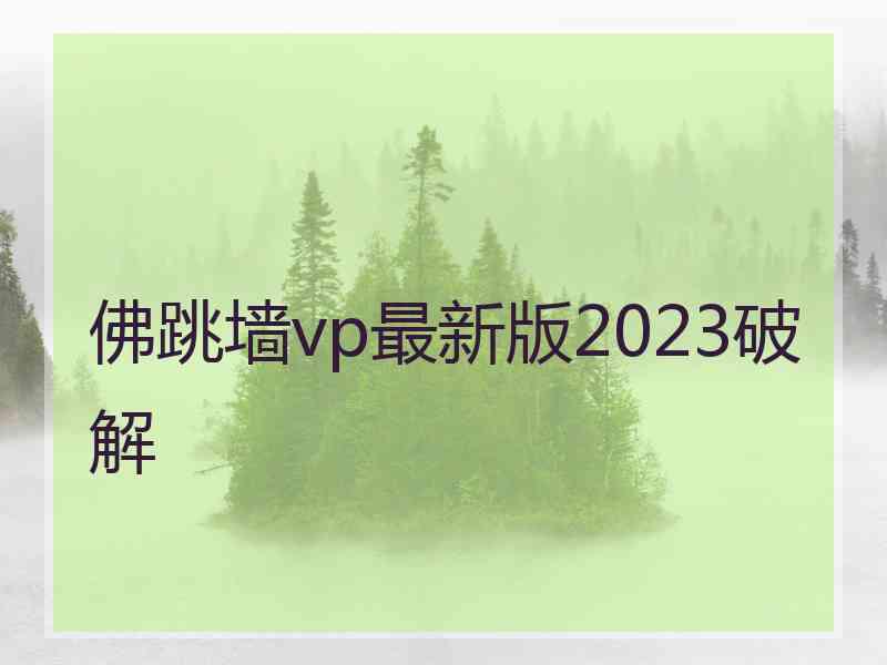 佛跳墙vp最新版2023破解