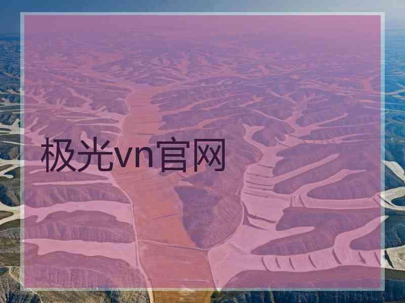 极光vn官网