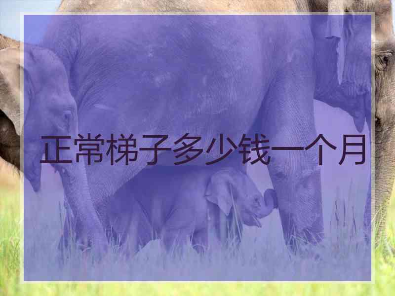 正常梯子多少钱一个月
