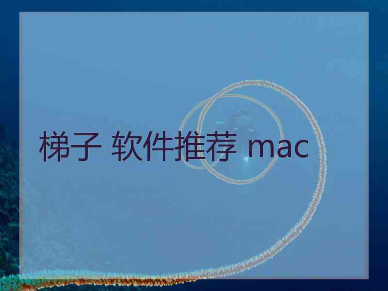 梯子 软件推荐 mac