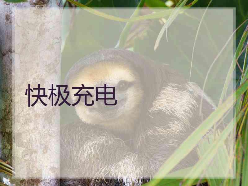 快极充电