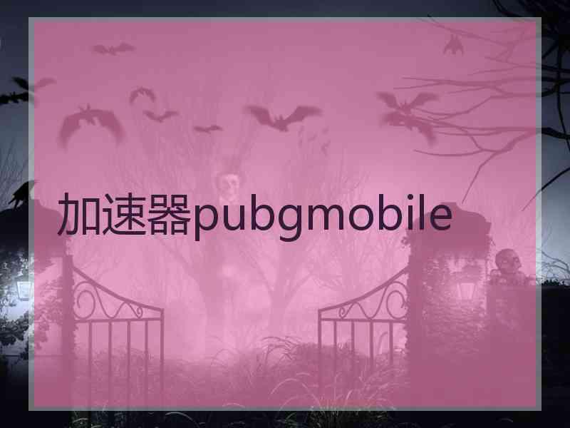 加速器pubgmobile