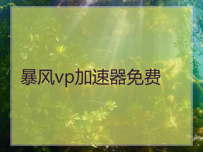 暴风vp加速器免费