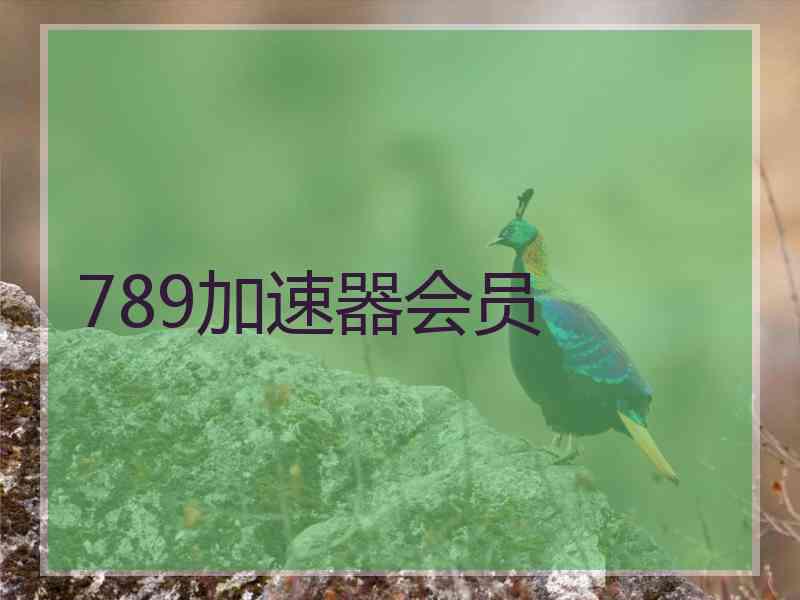 789加速器会员