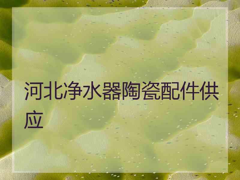 河北净水器陶瓷配件供应
