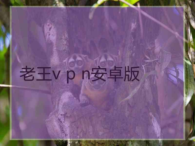 老王v p n安卓版