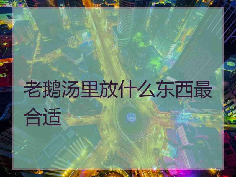 老鹅汤里放什么东西最合适