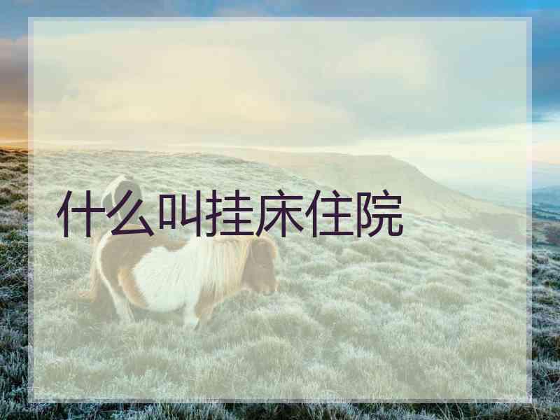 什么叫挂床住院