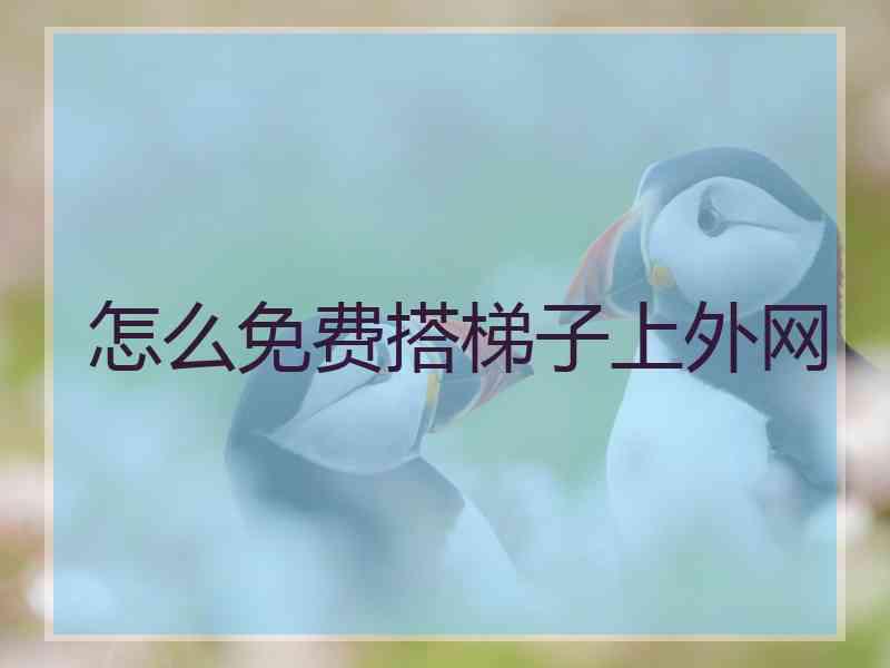 怎么免费搭梯子上外网