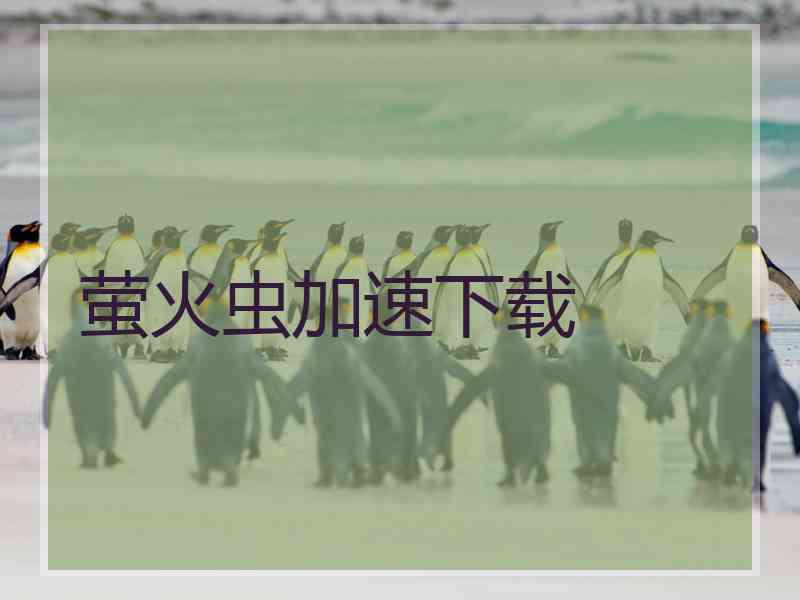 萤火虫加速下载