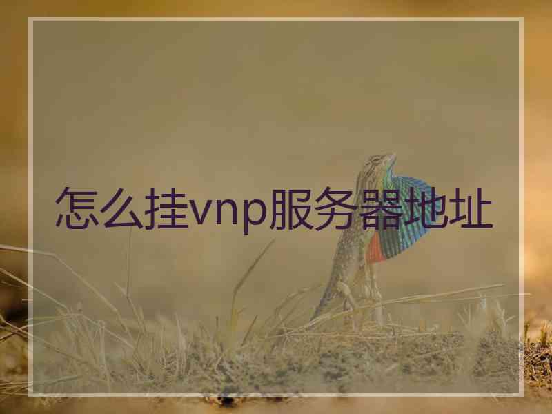 怎么挂vnp服务器地址